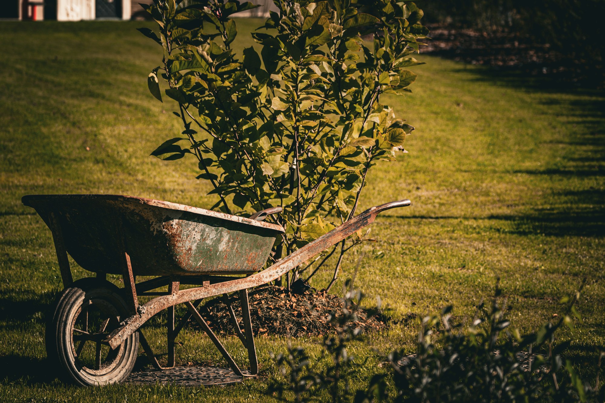 Green lawns and mature planting maintained by a grounds team